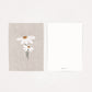 Postkarte Blume Margarita